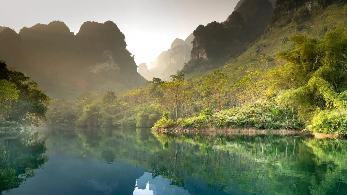 高效信息化高端
